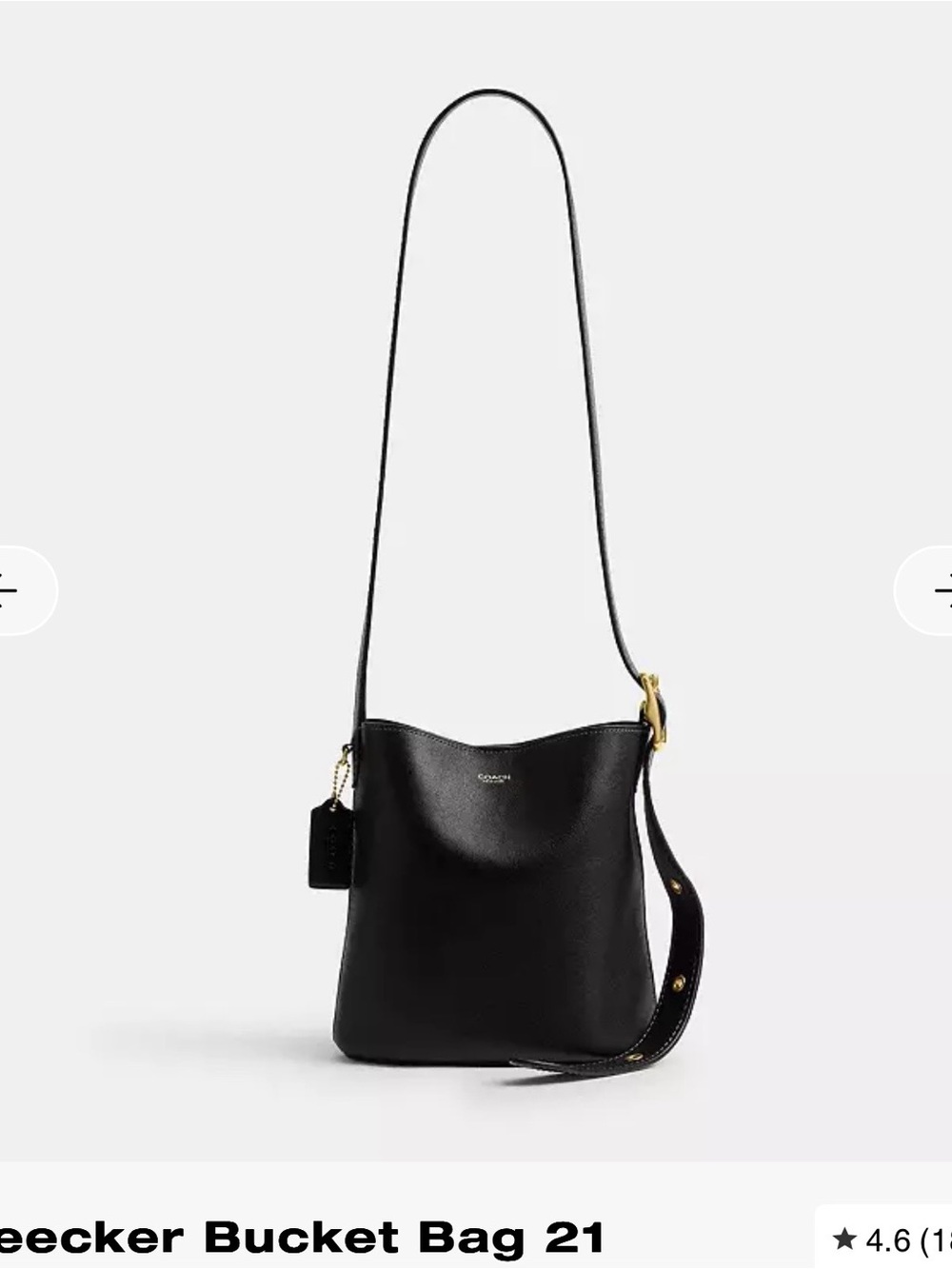 Coach Bleecker bucket bag 21